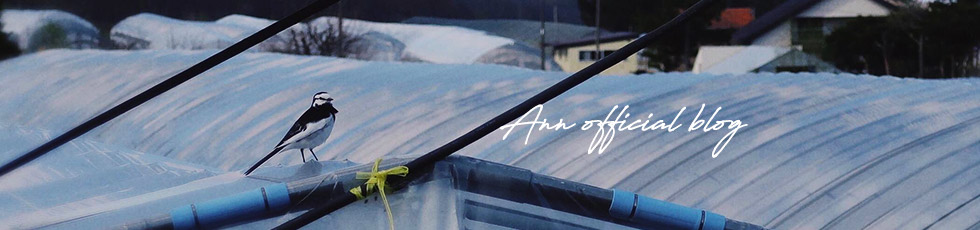 安のオフィシャルブログへリンク